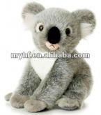 Koala de pelúcia myhf